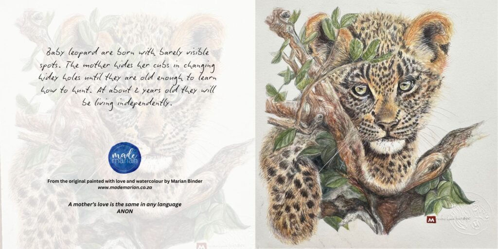 Baby Leopard - Art Greeting Card