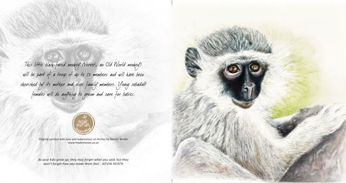 Baby Vervet Monkey - Art Greeting Card