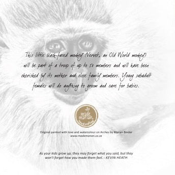 Baby Vervet Monkey - Art Greeting Card