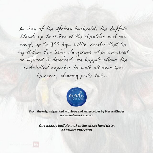African Buffalo and Oxpecker - Art Greeting Card