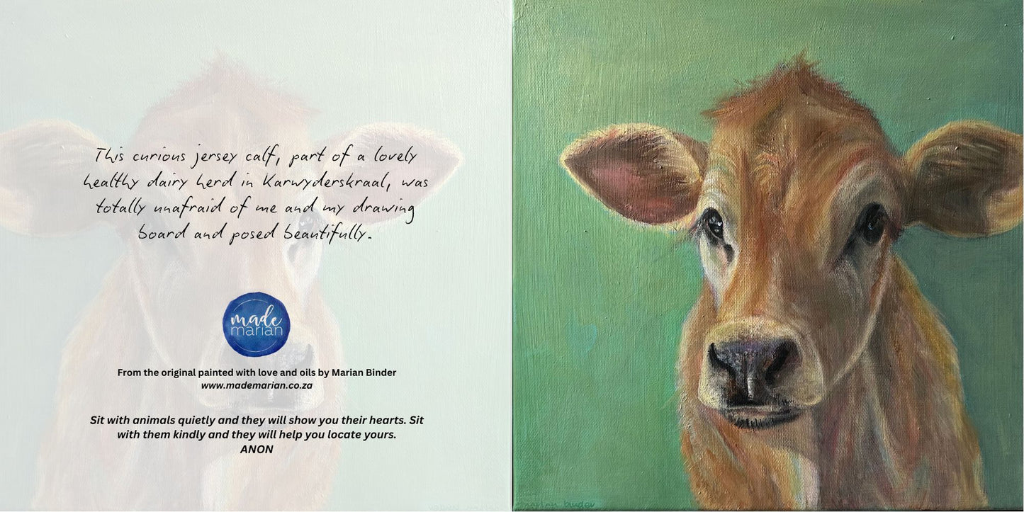 Baby Jersey Cow - Art Greeting Card