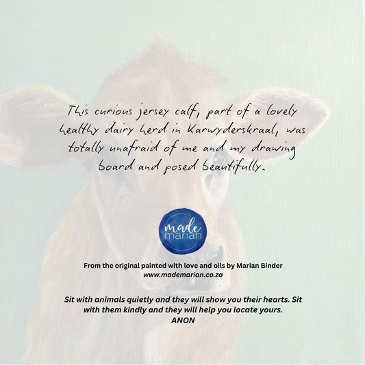 Baby Jersey Cow - Art Greeting Card