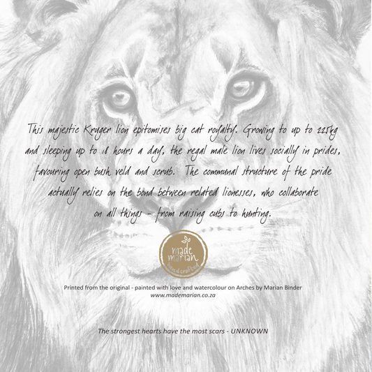 King of Beasts (Lion) - Art Greeting Card
