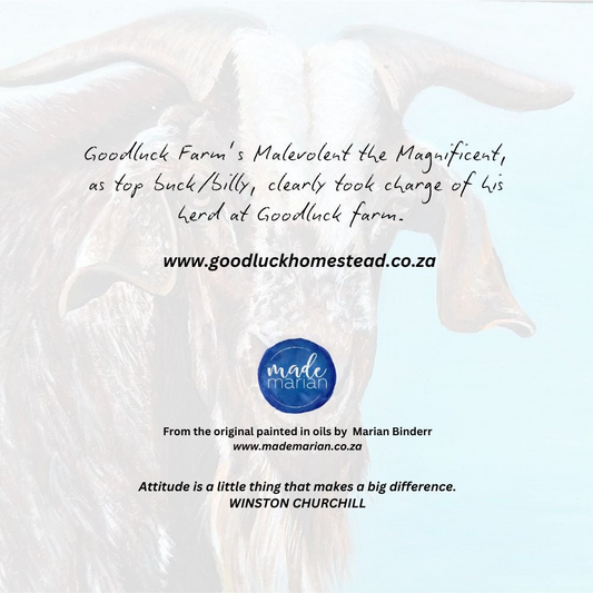 Malevolent the Magnificent Goat - Art Greeting Card