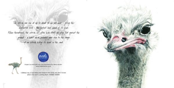 Head Out of the Sand (Ostrich) - Art Greeting Card