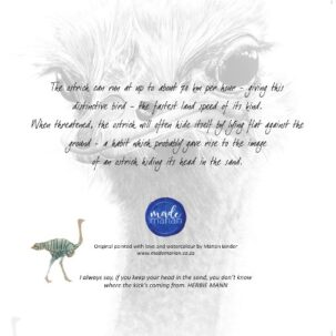 Head Out of the Sand (Ostrich) - Art Greeting Card