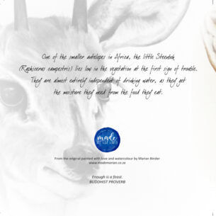 Steenbokkie - Art Greeting Card