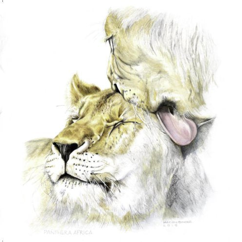 Achilles & Jubatus - Art Greeting Card