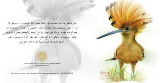 African Hoopoe - Art Greeting Card