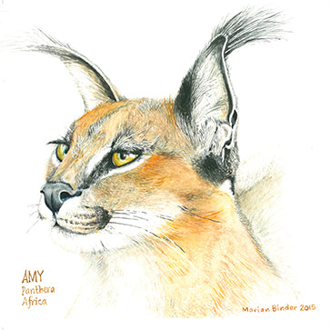 Amy the Caracal - Art Greeting Card