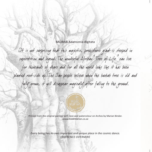 Baobab Tree - Art Greeting Card