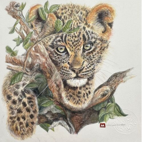Baby Leopard - Art Greeting Card