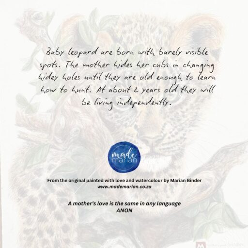 Baby Leopard - Art Greeting Card