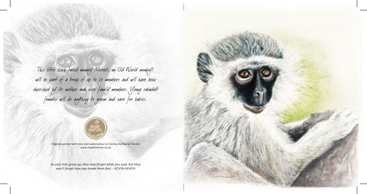 Baby Vervet Monkey - Art Greeting Card