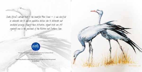 Blue Cranes - Art Greeting Card