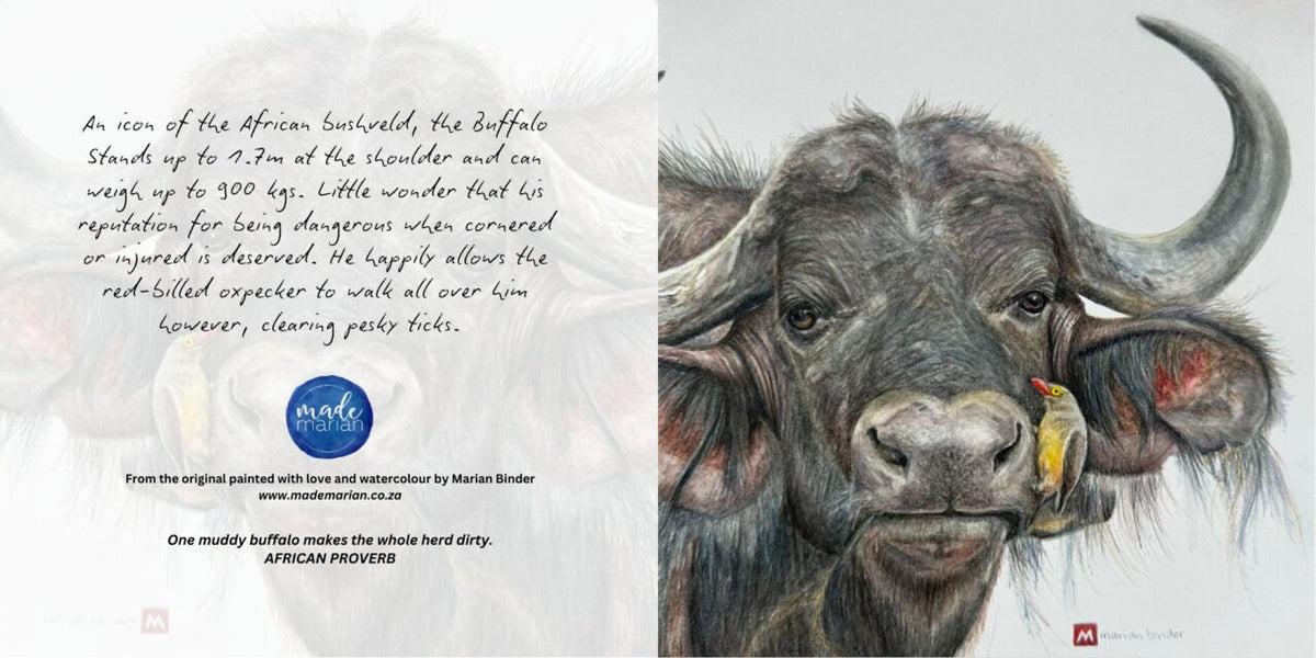 African Buffalo and Oxpecker - Art Greeting Card