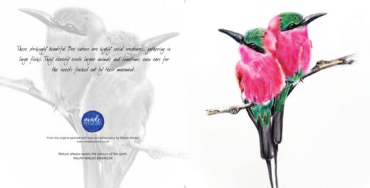 Carmine Bee Eaters - Art Greeting Card