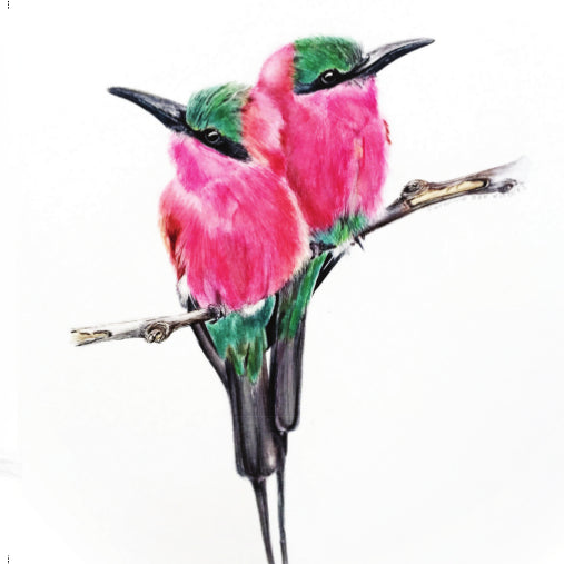 Carmine Bee Eaters - Art Greeting Card