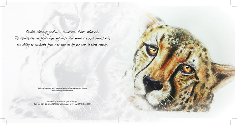 Cheetah - Art Greeting Card