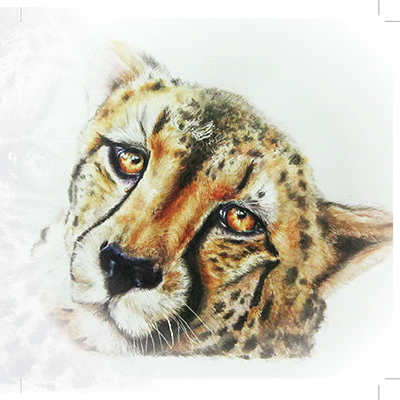 Cheetah - Art Greeting Card