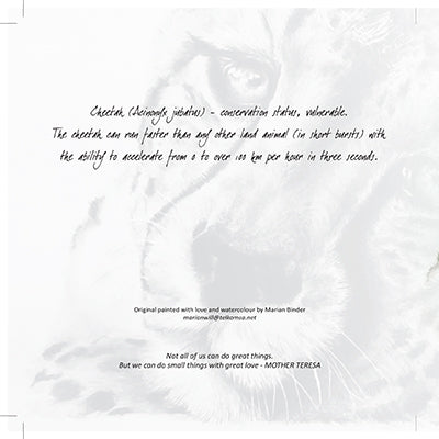 Cheetah - Art Greeting Card