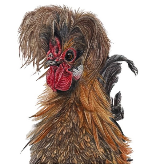 When life gives you feathers, strut (Rooster)- Art Greeting Card