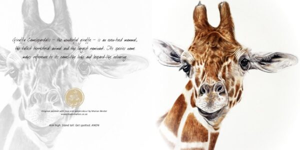 Giraffe - Art Greeting Card