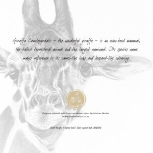 Giraffe - Art Greeting Card