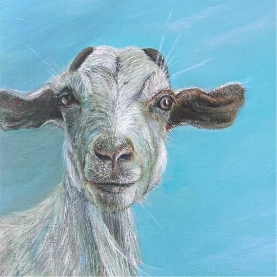 Green Goat - Art Greeting Card