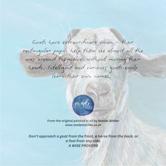 Green Goat - Art Greeting Card
