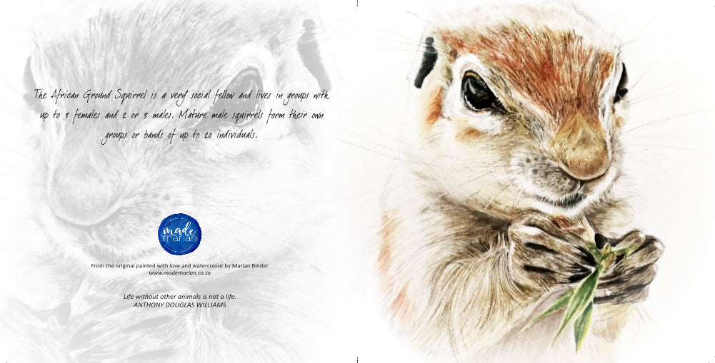 African Ground Squirrel - Art Greeting Card