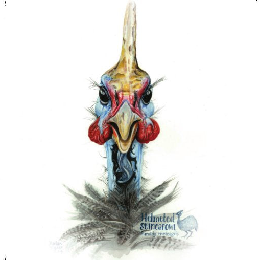 Guinea Fowl - Art Greeting Card
