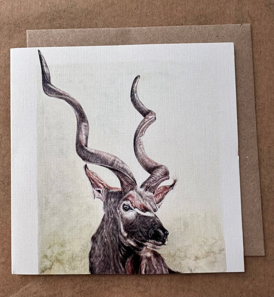 Kudu - greetings card