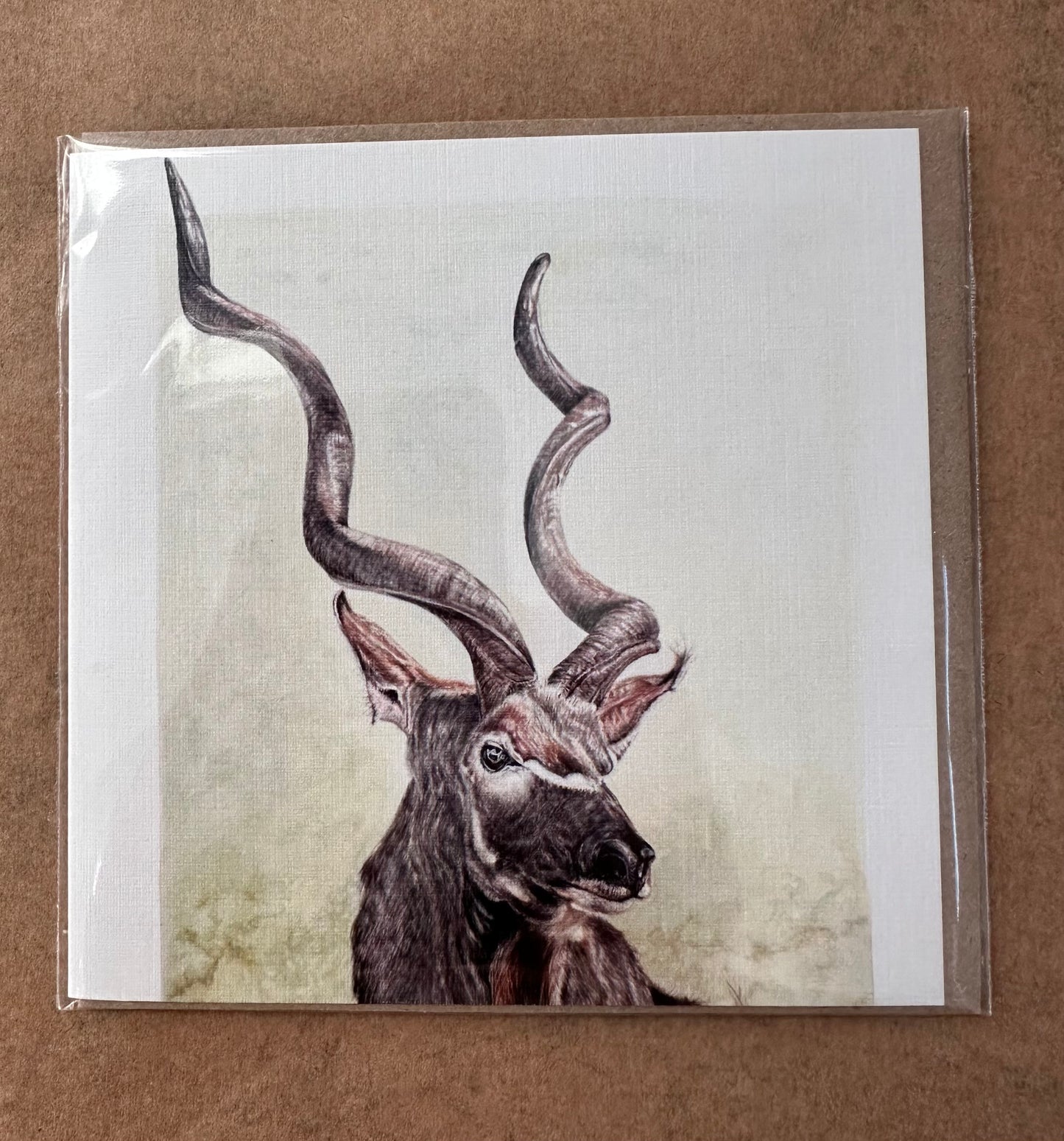 Kudu - greetings card