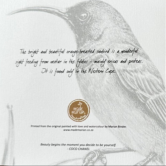 Orange Breasted Sunbird - Art Greeting Card