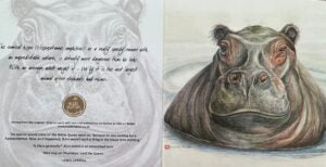 Happy Hippo - Art Greeting Card