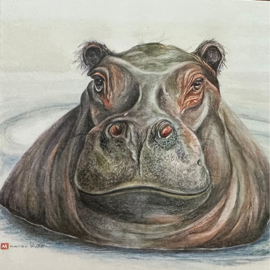 Happy Hippo - Art Greeting Card