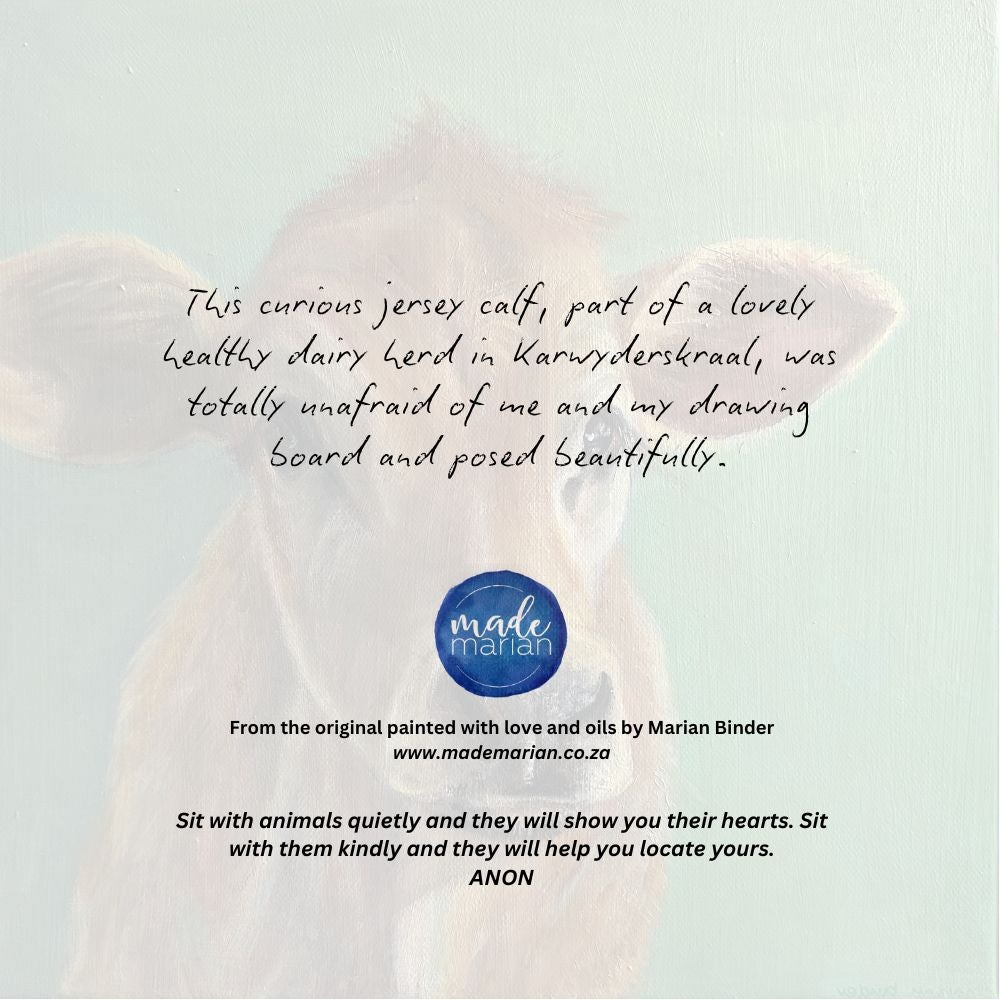 Baby Jersey Cow - Art Greeting Card