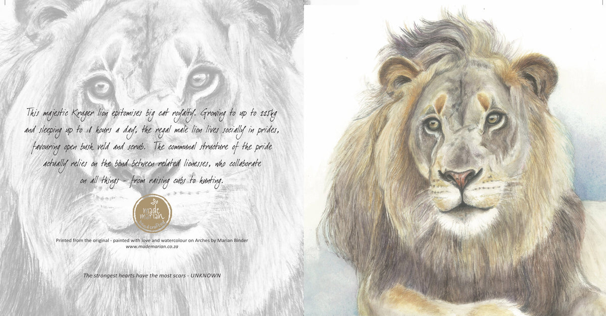 King of Beasts (Lion) - Art Greeting Card