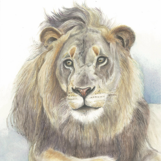 King of Beasts (Lion) - Art Greeting Card