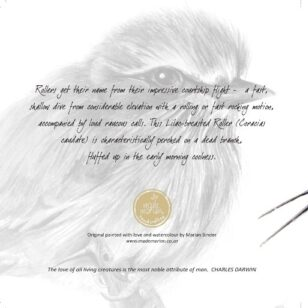 Lilac-breasted Roller - Art Greeting Card