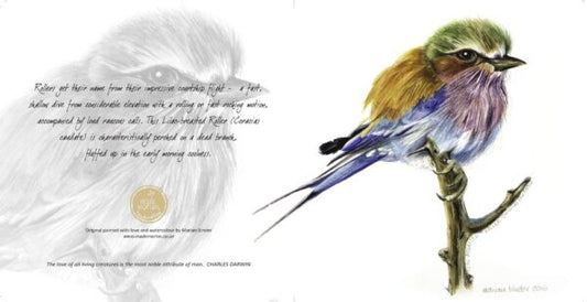 Lilac-breasted Roller - Art Greeting Card