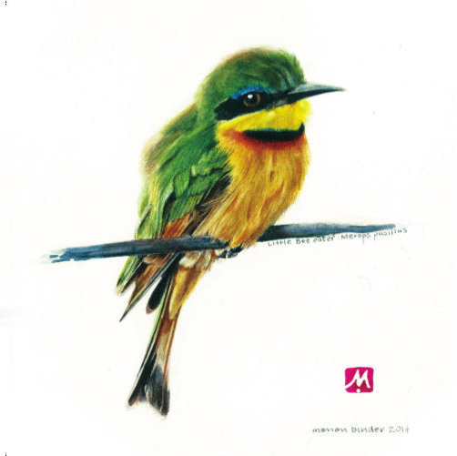 Little Bee-eater - Art Greeting Card
