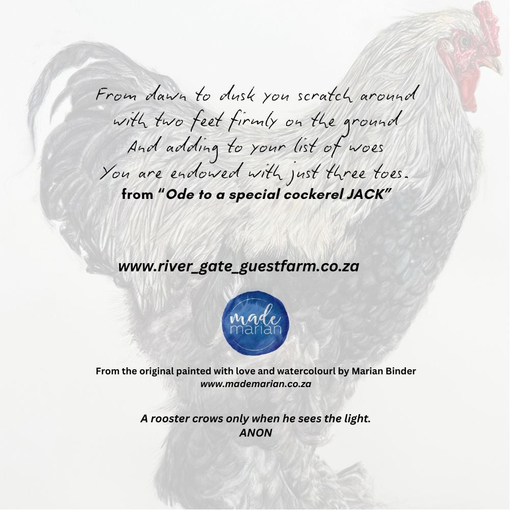 Ode to Jack the Cockerel - Art Greeting Card