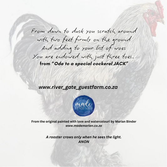 Ode to Jack the Cockerel - Art Greeting Card
