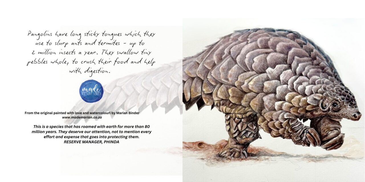 Pangolin on the move - Art Greeting Card