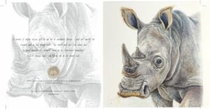 Rhino - Art Greeting Card
