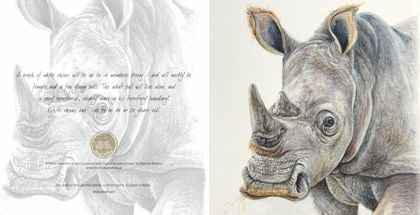 Rhino - Art Greeting Card