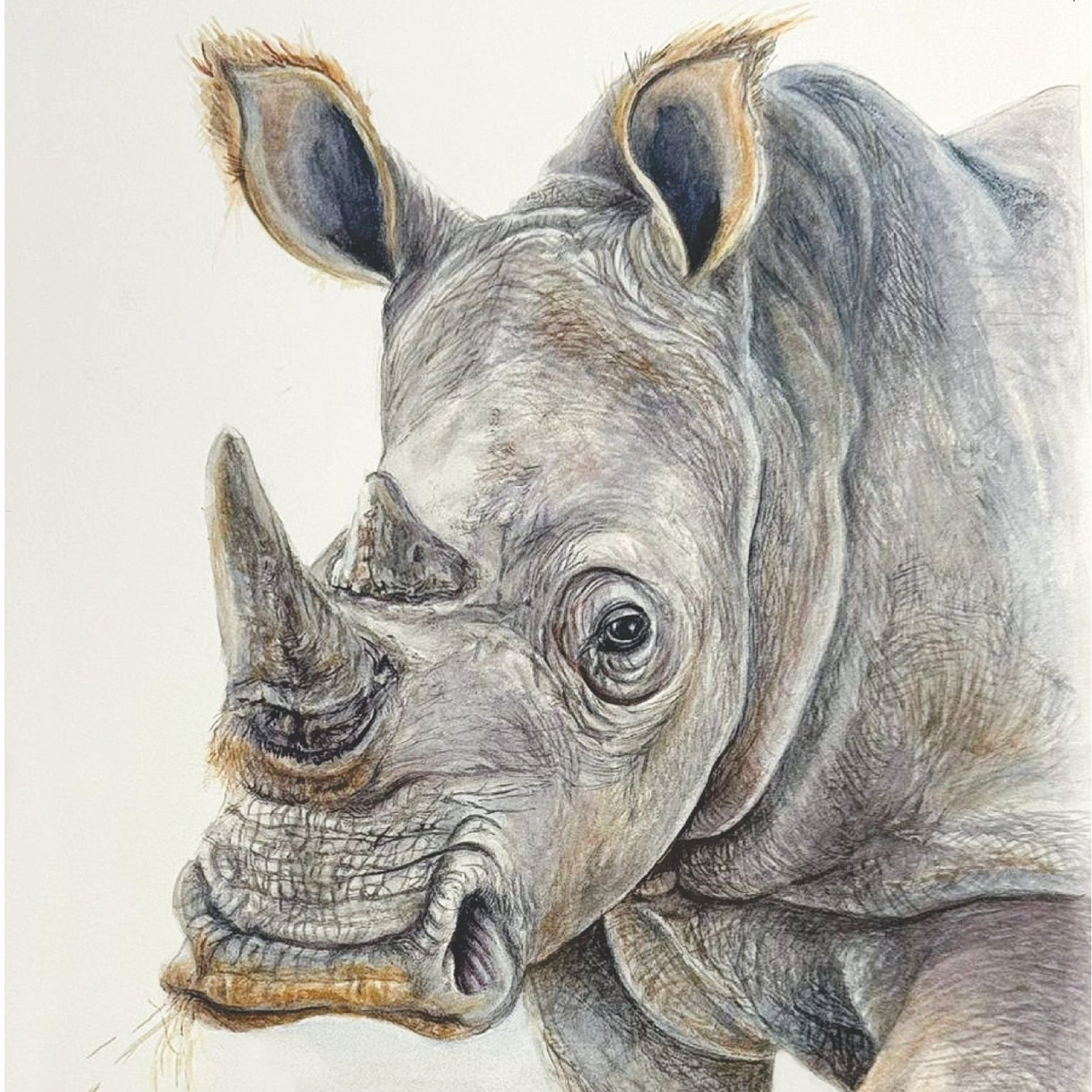 Rhino - Art Greeting Card