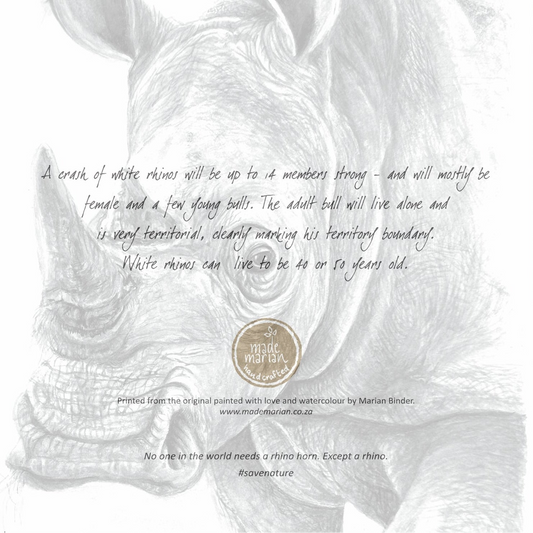 Rhino - Art Greeting Card